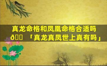 真龙命格和凤凰命格合适吗 🐠 「真龙真凤世上真有吗」